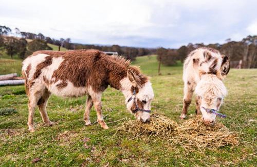 Jenolan House | Mckeown's Rest at Kenzell Farm
