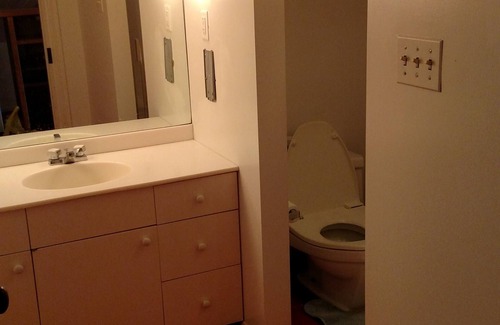 Mechanicsburg Apartment | Mechanicsburg One Of A Kind ATTIC GUEST ROOM Above Everything