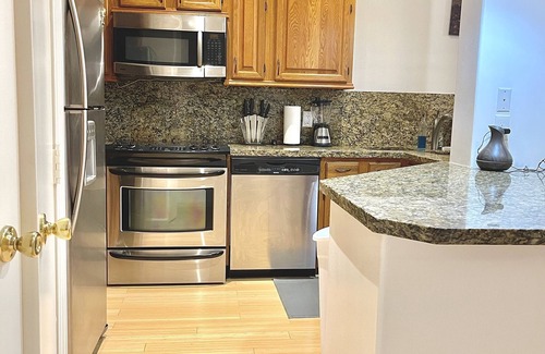 Astrodome Apartment | Med 2BDR 2Bth 2 KgBD NRG DT Zoo Galleria Pool 4KTV