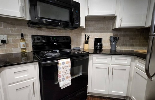 Astrodome Apartment | Med Center Charm 2BR Haven