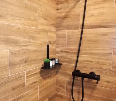 Medias Apartment | Medias Cozy Studio