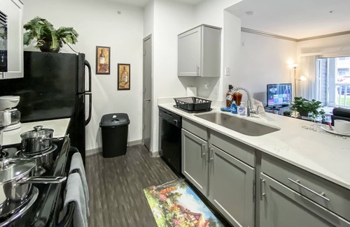 Astrodome Apartment | Medical Center Luxury Furnished & Equipped 2br 2ba (813)