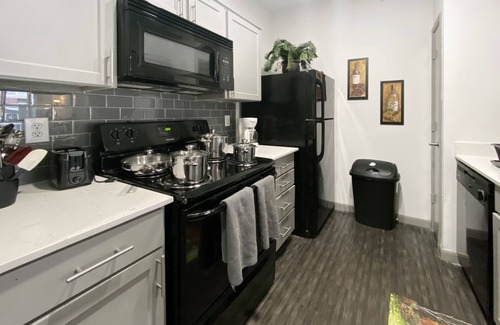 Astrodome Apartment | Medical Center Luxury Furnished & Equipped 2br 2ba (813)