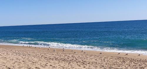 Pineda de Mar Apartment | Mediterraneo Euroviajeros Room