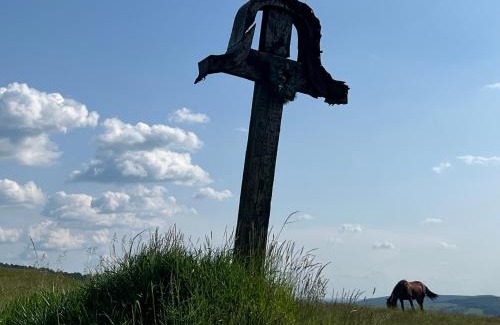 Zetea House | Medve Desag Ursul