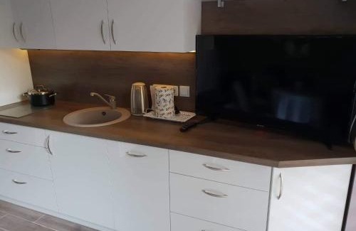 Palanga Apartment | Medziotoju Apartment in Old City 2