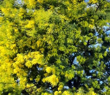 Le Pradet Apartment | Mer et soleil