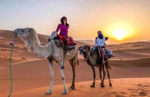Taouz Hotel | Merzouga Nice luxury Camp