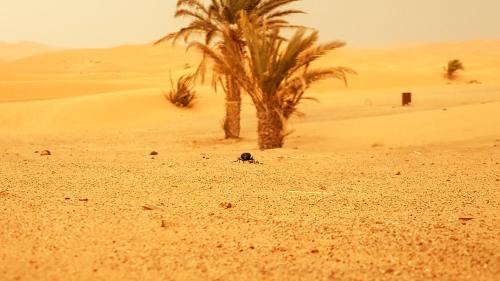 Hassilabied Other | MERZOUGA OVERNIGHT CAMP