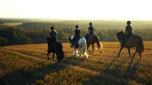 Jogeva Parish House | Metsapiiga Puhkemaja