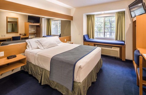 Culiacan Hotel | Microtel Inn and Suites Culiacan