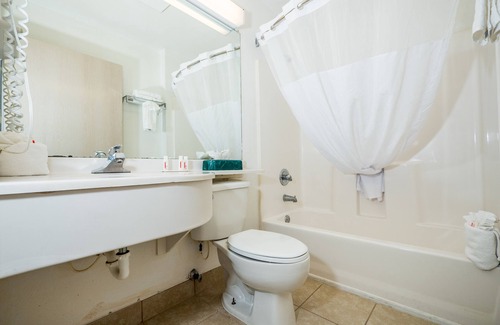 Palm Coast Hotel | Microtel Inn & Suites by Wyndham Palm Coast I-95