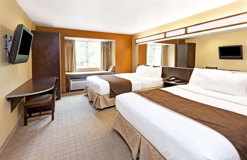 Woodstock Hotel | Microtel Inn & Suites by Wyndham Woodstock Atlanta North