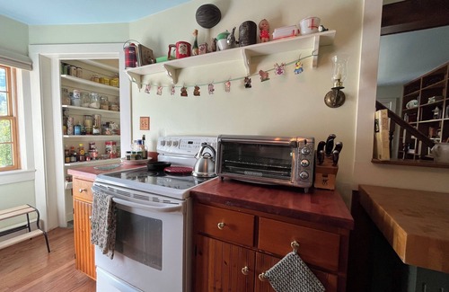 Phoenicia Cottage | "Mid-Century-Precious" Cozy cottage in Catskills. Close to 3 Ski Mtns-EV Charge.