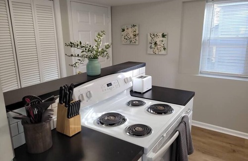 Joslyn Castle Apartment | Midtown Retreat, Walk to Blackstone & Dundee