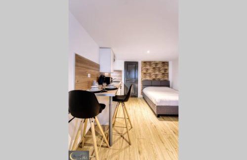 Metz-Centre – Ancienne Ville Apartment | Mignon Studio au coeur de Metz (unenuitametz)