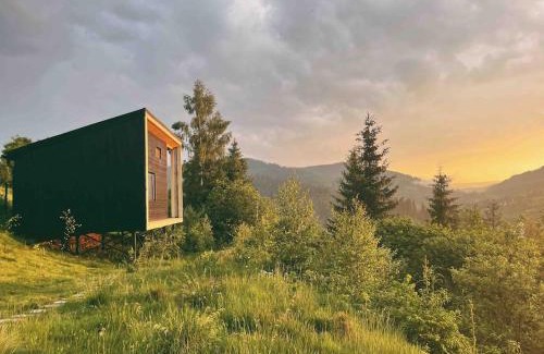 Slavske House | Miko II