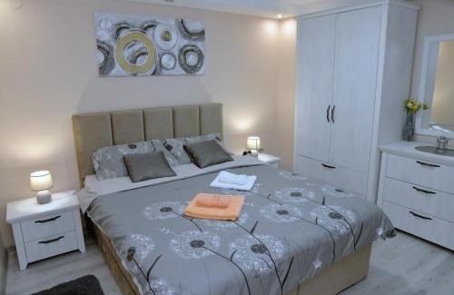 Soko Banja Apartment | Milivojevic