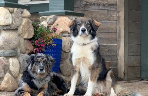 Coarsegold House | Millar Oaks Ranch - Barn Retreat, near Yosemite