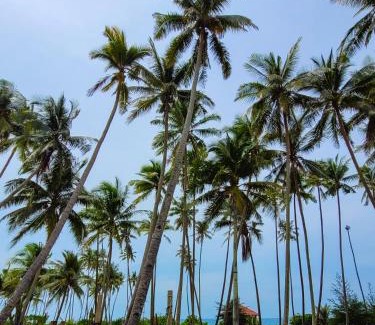 Marang House | MILLBROOK HOUSE TERENGGANU