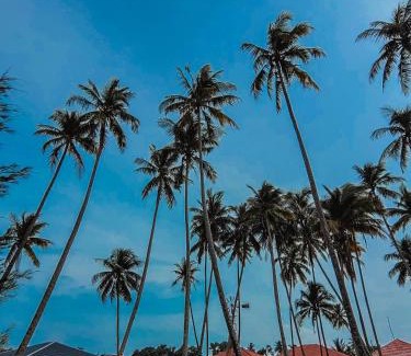 Marang House | MILLBROOK HOUSE TERENGGANU