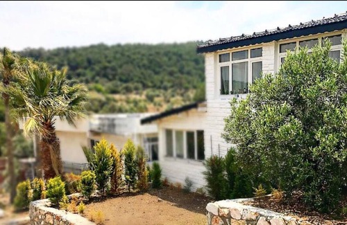 Urla House | Millionswood