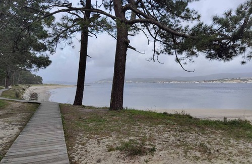 Salcidos Apartment | Mini apartment with bathroom, privacy and basic services, comfortable and well located.