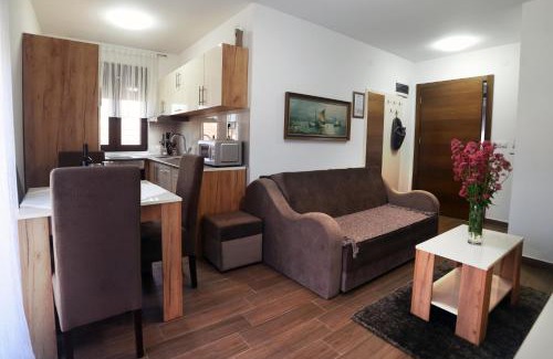 Vrnjacka Banja Apartment | "Mini Hotel Vienna" Apartments