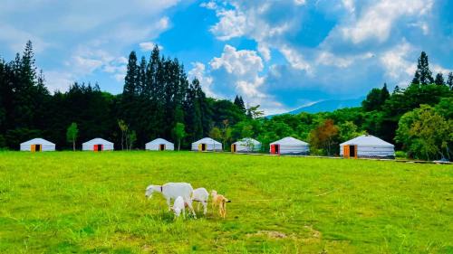 Gujo Other | Mini Mongolian Campsite - Vacation STAY 55337v