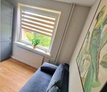 Kaunas Apartment | Miniukas