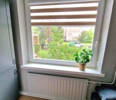 Kaunas Apartment | Miniukas