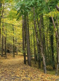 Canfranc-Estacion Apartment | Mira Moleta bienvenidos a Canfranc