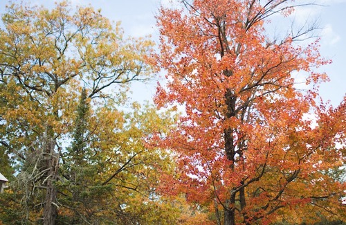 Ashland Hotel | Mission Springs Resort