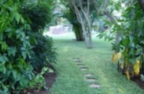 Hoedspruit Bed & Breakfast | Mist of Gold