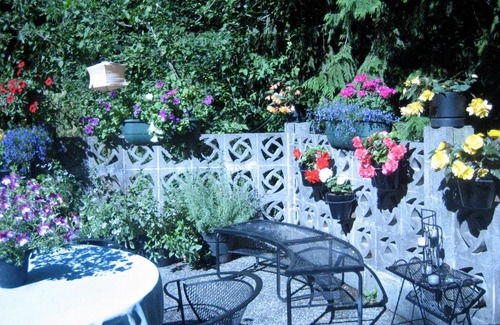 Highlands Bed & Breakfast | Misty Meadows B and B