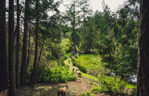 Highlands Bed & Breakfast | Misty Meadows B and B