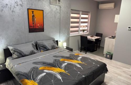 Nis House | Mitić Apartmani 1