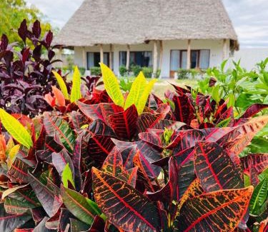 Nungwi House | MITI Beach Bungalows