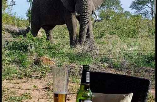 Buffelspruit Apartment | Mjejane bush lodge