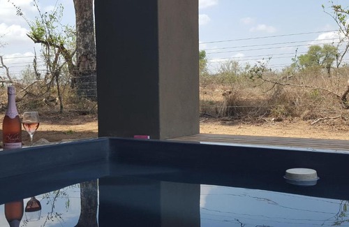 Buffelspruit Villa | Mjejane bush lodge