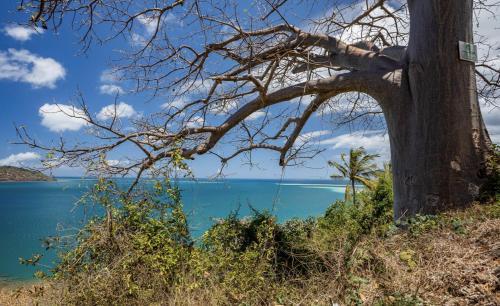 Mamoudzou Apartment | Mo'Passa Suite