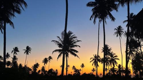 Pongwe Bed & Breakfast | Moayana Liora