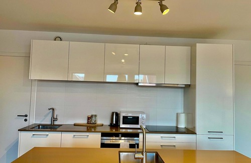 Klein-Antwerpen Apartment | Modern 2BR 1.5 BA Near Diamond District by Oneluxstay