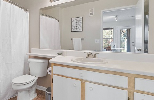 Winston - Salem Apartment | Modern Apartment in Prime Location (ID7350X50)