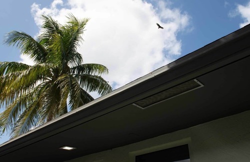 Harbordale Hotel | Modern Apt | Near Airport, Cruise & Downtown