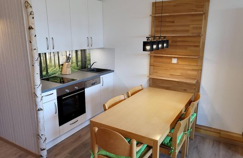 Sankt Englmar Apartment | Modern ausgestattetes Design-Appartement mit offenem Wohnbereich und Südbalkon