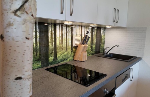 Sankt Englmar Apartment | Modern ausgestattetes Design-Appartement mit offenem Wohnbereich und Südbalkon