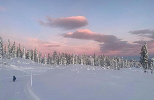 Lunner House | Modern Cabin With Views By Ski Trail In Hadeland