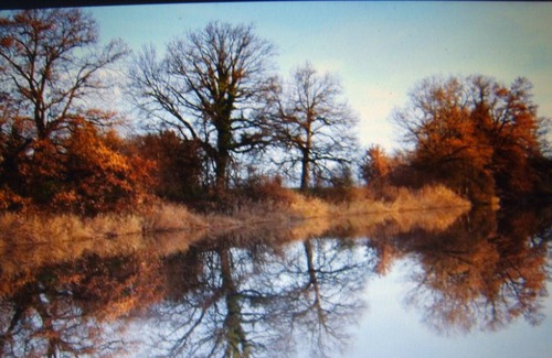 Hergensweiler Apartment | Modern holiday apartment with a large, partially covered terrace