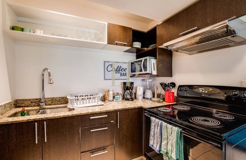 Santa Ana Apartment | Modern Lakeview Penthouse: Pool,Gym,Office space,A/C